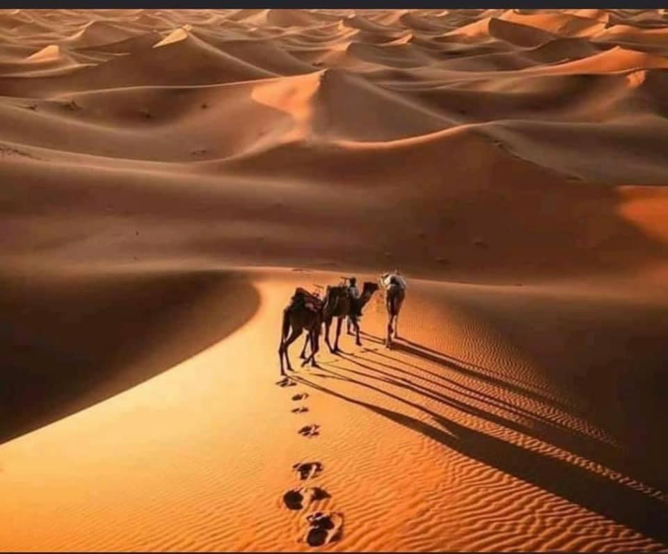 El Gouera Camp Desert Bivouac Chegaga מראה חיצוני תמונה