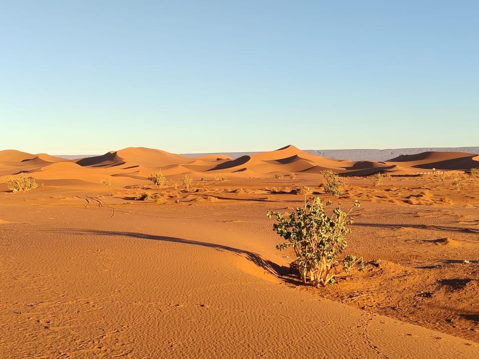 El Gouera Camp Desert Bivouac Chegaga מראה חיצוני תמונה
