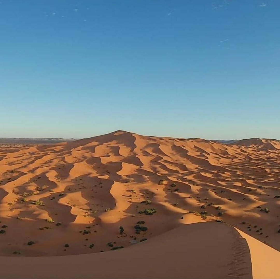 El Gouera Camp Desert Bivouac Chegaga מראה חיצוני תמונה