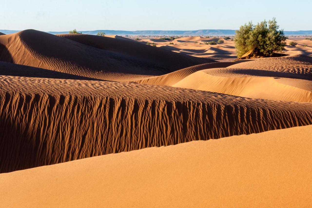 El Gouera Camp Desert Bivouac Chegaga מראה חיצוני תמונה